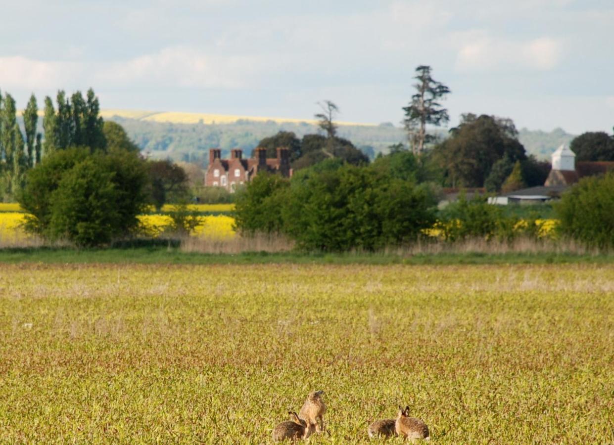 Barnham Court Farm Villa Exteriör bild